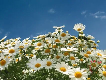 Gentle Bedtime Talk: Emotional Support On Your Grief Journey