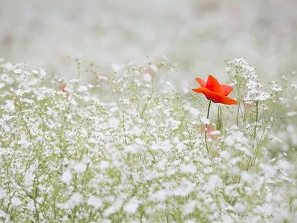 Gentle Bedtime Talk: Exhale Chaos, Inhale Serenity