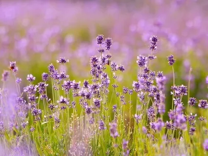 Gentle Bedtime Talk: Explore The Depths Of Self-Love