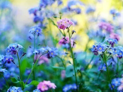 Gentle Bedtime Talk: Explore The Path To The Aligned Self