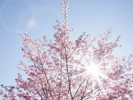 Gentle Bedtime Talk: Feel Cared For When Facing Chaos