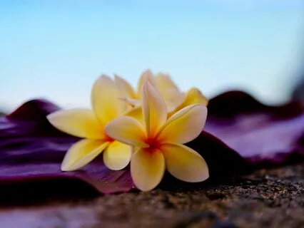 Gentle Bedtime Talk: Find Comfort In The Night