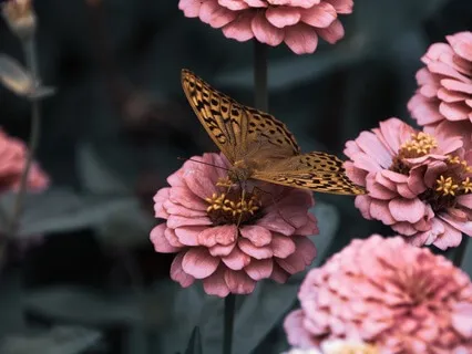 Gentle Bedtime Talk: Find Peace When Feeling Overwhelmed