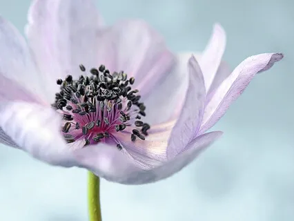 Gentle Bedtime Talk: Find Peace When Overwhelmed