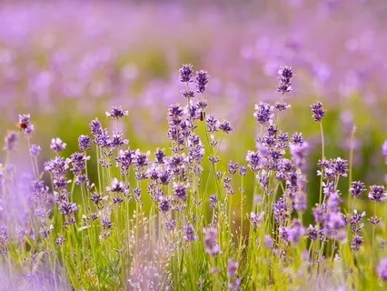 Gentle Bedtime Talk: Find Your Moment Of Inner Peace