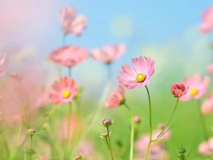 Gentle Bedtime Talk For Balancing Your Nervous System