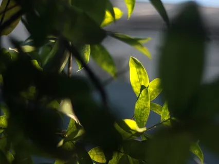 Gentle Bedtime Talk For Embracing Stillness And Sweet Dreams