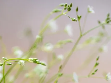 Gentle Bedtime Talk For Embracing Sweet Dreams