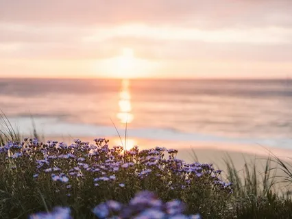 Gentle Bedtime Talk For Emotional Self Nourishment