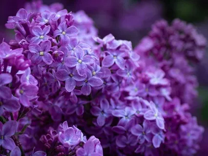 Gentle Bedtime Talk For Emotional Wellness