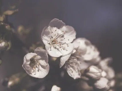 Gentle Bedtime Talk For Inner Calmness