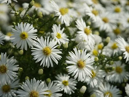 Gentle Bedtime Talk For Intentional Living