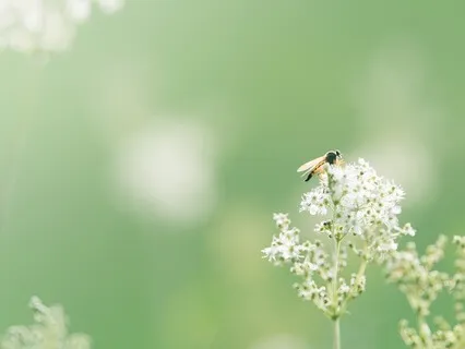 Gentle Bedtime Talk For Mindful Unwinding