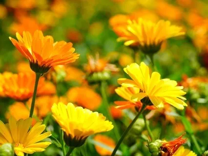 Gentle Bedtime Talk For Self-Acceptance