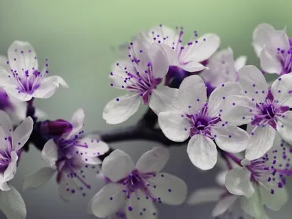 Gentle Bedtime Talk: Guide To Grounding