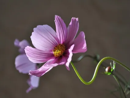 Gentle Bedtime Talk: Guided By The Whispers Of Your Soul