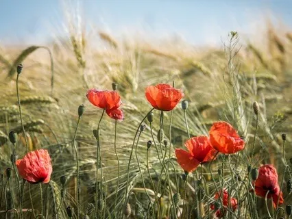 Gentle Bedtime Talk: Honoring Your True Self