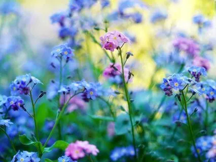 Gentle Bedtime Talk: Inner Awakening