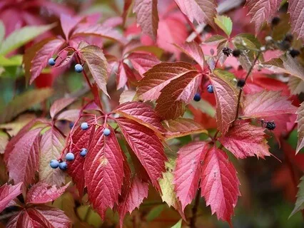 Gentle Bedtime Talk: Integrate Year 2023