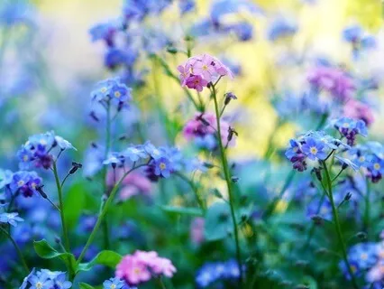 Gentle Bedtime Talk: Listen To The Whispers Of Your Soul