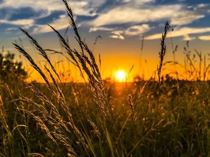 Gentle Bedtime Talk: Nervous System Rejuvenation