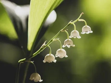 Gentle Bedtime Talk: Nourish Your Soul