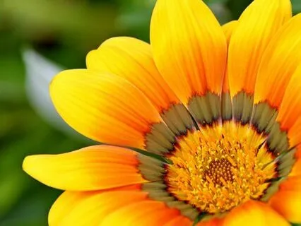 Gentle Bedtime Talk: Nourishing Your Nervous System