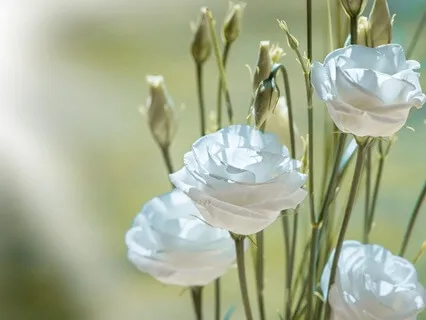 Gentle Bedtime Talk: Nurture Your Deepest Self