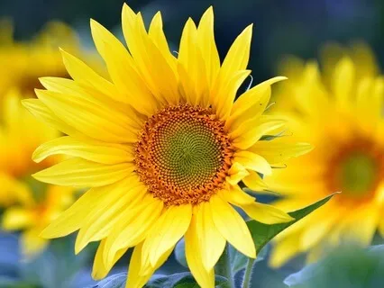 Gentle Bedtime Talk: Nurtured In Security