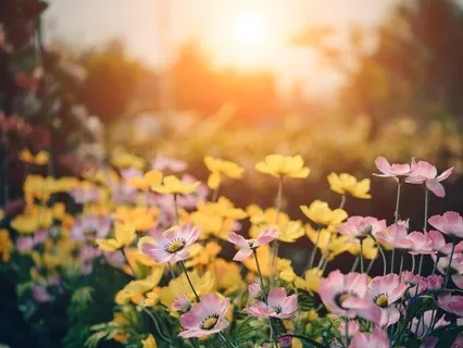 Gentle Bedtime Talk: Nurturing Calm Amidst Chaos