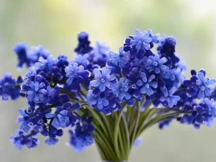 Gentle Bedtime Talk: Nurturing Cosmic Love