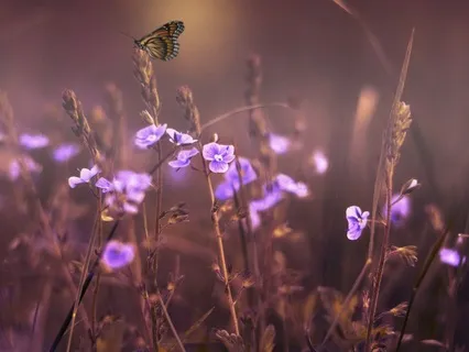 Gentle Bedtime Talk: Nurturing Your Inner Light