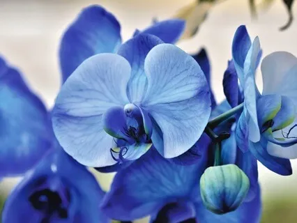 Gentle Bedtime Talk: Peace Amid Overwhelm