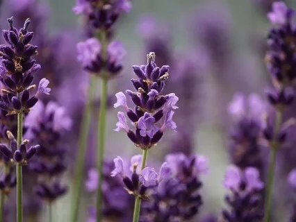 Gentle Bedtime Talk: Prepare Your Soul For A Peaceful Night