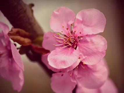 Gentle Bedtime Talk: Recognizing Your Inner Worth