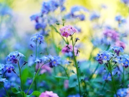 Gentle Bedtime Talk: Reflecting Your Authentic Self