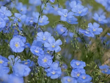 Gentle Bedtime Talk: Reignite Your Spirit