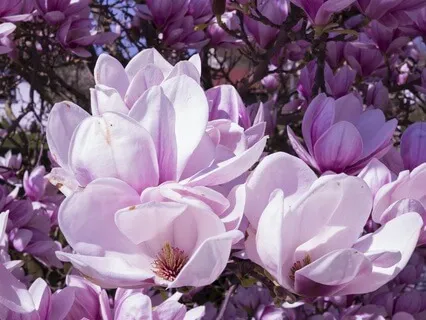 Gentle Bedtime Talk: Renew Your Spirit