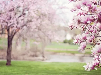 Gentle Bedtime Talk: Revive Your Inner Light