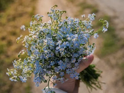 Gentle Bedtime Talk: Rooted In Serenity