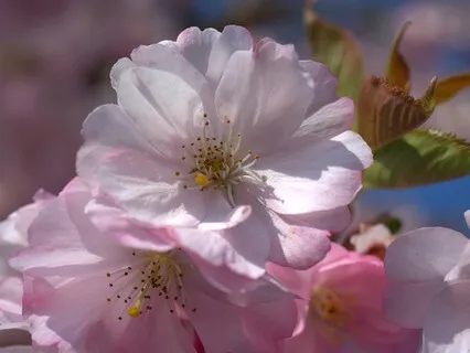 Gentle Bedtime Talk: Seek Clarity In The Midnight Calm