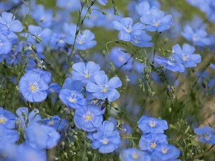 Gentle Bedtime Talk: Self-Empowerment