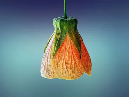 Gentle Bedtime Talk: Self-Nourishment Journey