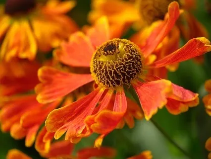 Gentle Bedtime Talk: Settling Into Sleep