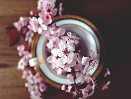 Gentle Bedtime Talk: Soul's Guiding Light