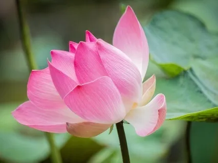 Gentle Bedtime Talk: Spiritual Connection