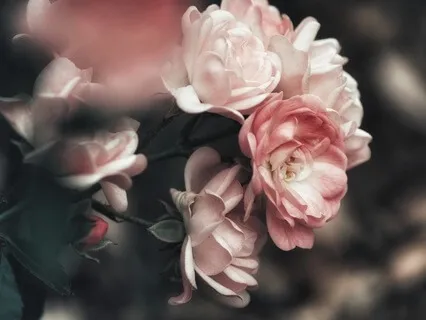 Gentle Bedtime Talk To Accept Your Authenticity