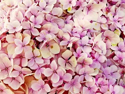 Gentle Bedtime Talk To Anchor Your Being