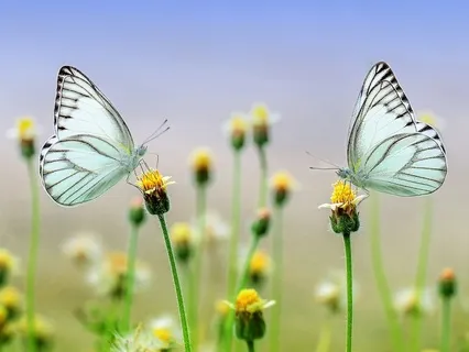 Gentle Bedtime Talk To Calm Down Your Nervous System