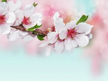 Gentle Bedtime Talk To Connect With Your Essence